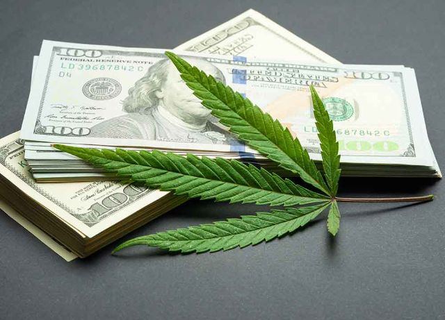 Money and Financial Services