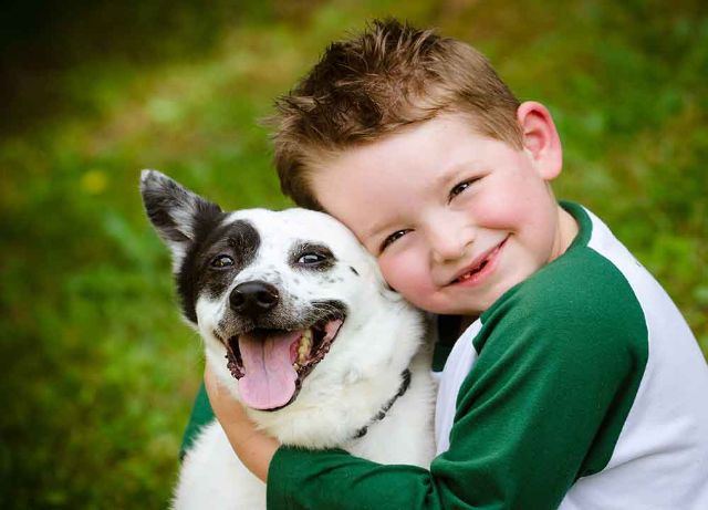 Pets and Pet Care